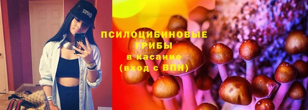 винт Армянск