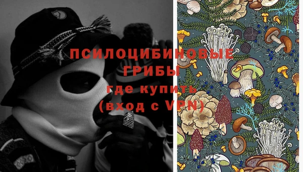 мяу мяу мука Аркадак