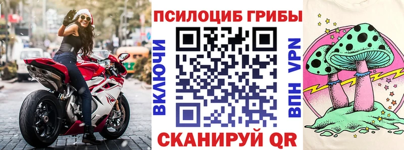 Галлюциногенные грибы Cubensis  Моздок 