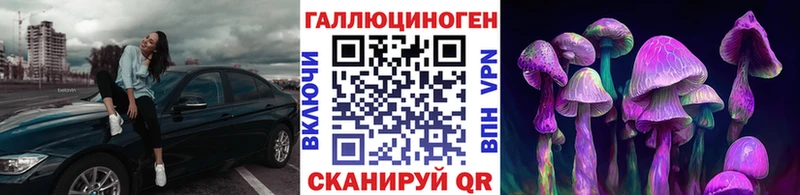 Псилоцибиновые грибы мицелий Моздок